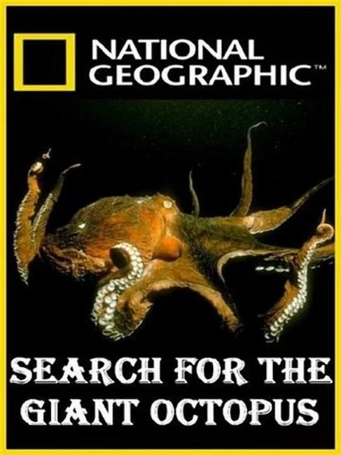Постер к National Geographic. В поисках гигантского осьминога (2009)