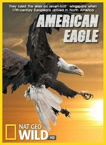 Постер к National Geographic. Белоголовый орлан (2009)